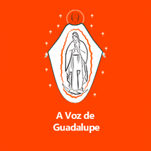 Voz de Guadalupe